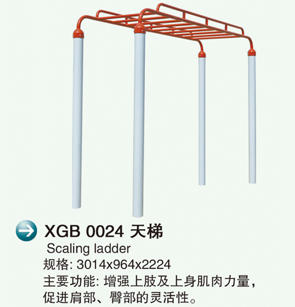 XGB 00242.jpg